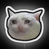 Crying Cat Meme 4 Black Outline RGB Neon Sign - Image 4