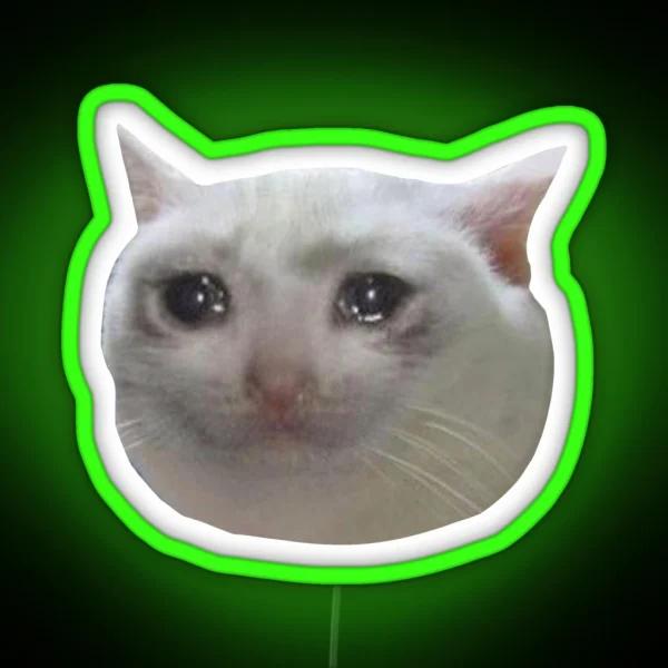 Crying Cat Meme 4 White Outline RGB Neon Sign