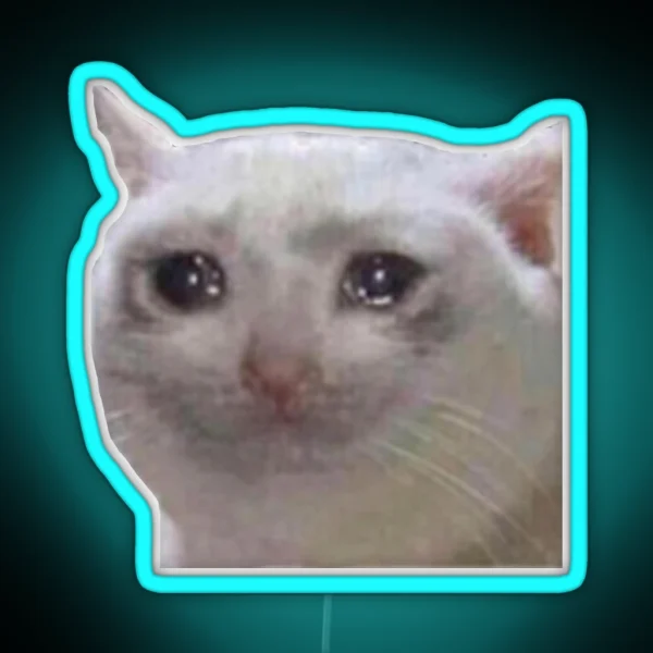 Crying Cat Meme Mericcat Emote RGB Neon Sign
