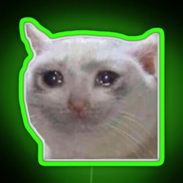 Crying Cat Meme Mericcat Emote RGB Neon Sign