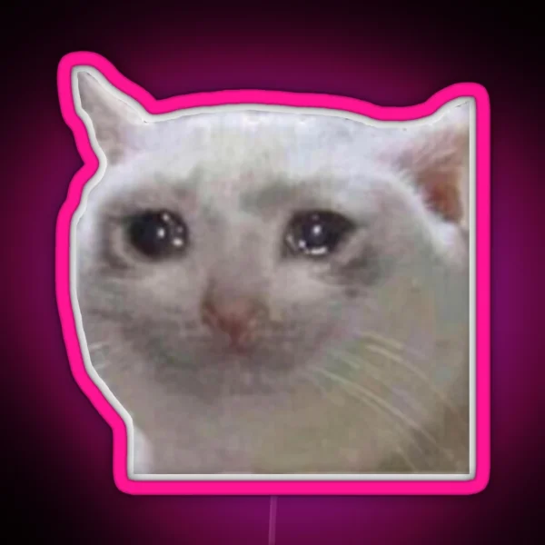 Crying Cat Meme Mericcat Emote RGB Neon Sign