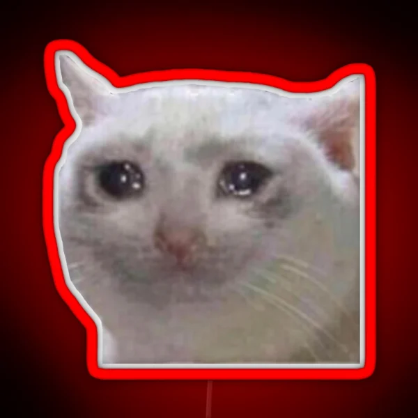 Crying Cat Meme Mericcat Emote RGB Neon Sign