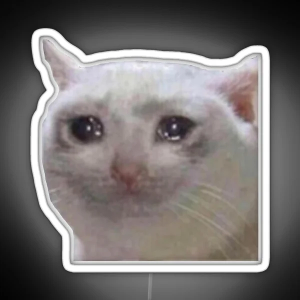 Crying Cat Meme Mericcat Emote RGB Neon Sign