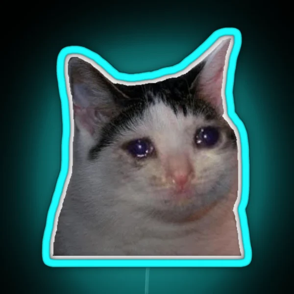 Crying Cat Meme RGB Neon Sign