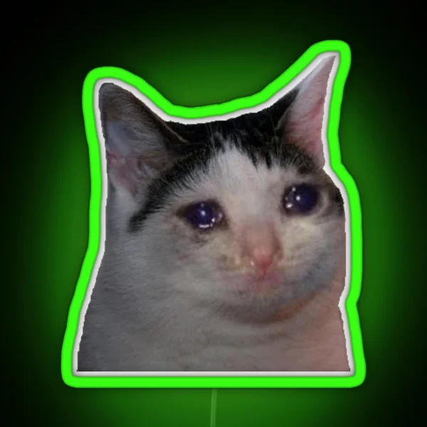 Crying Cat Meme RGB Neon Sign