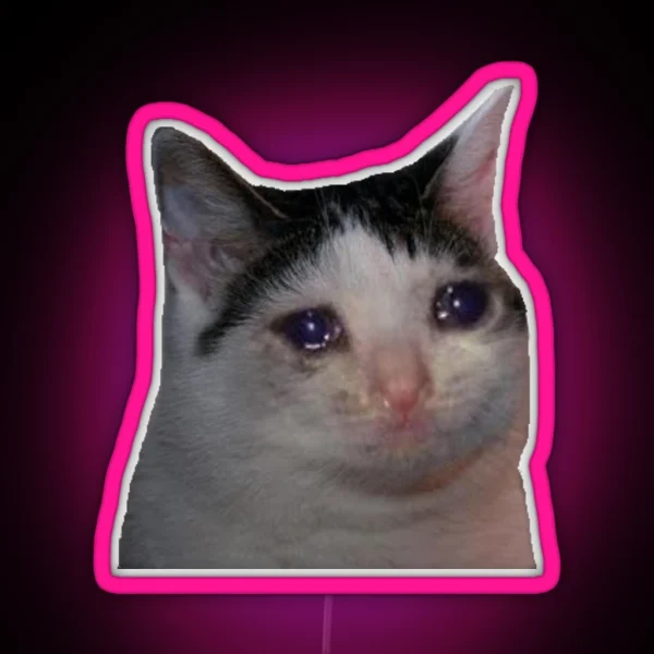 Crying Cat Meme RGB Neon Sign