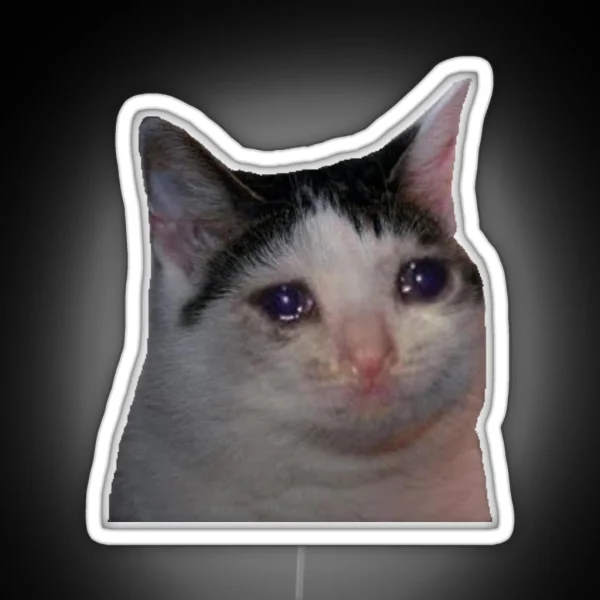 Crying Cat Meme RGB Neon Sign