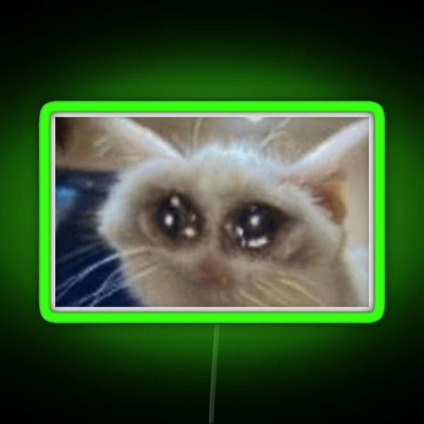 Crying Cat Meme RGB Neon Sign