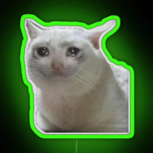 Crying Cat Meme RGB Neon Sign