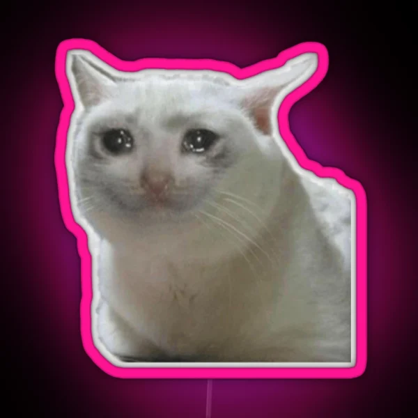 Crying Cat Meme RGB Neon Sign