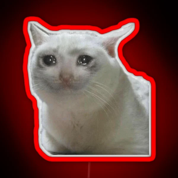 Crying Cat RGB Neon Sign