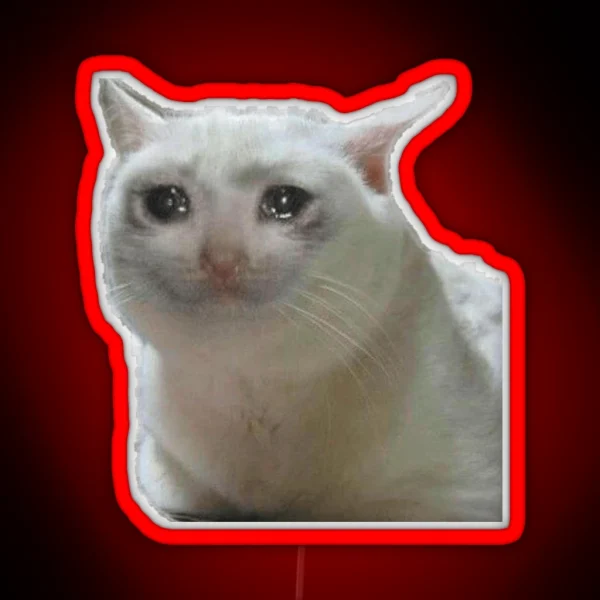Crying Cat RGB Neon Sign