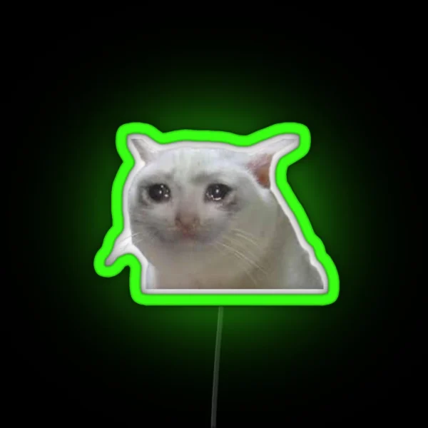 Crying Meme Cat Led RGB Neon Sign