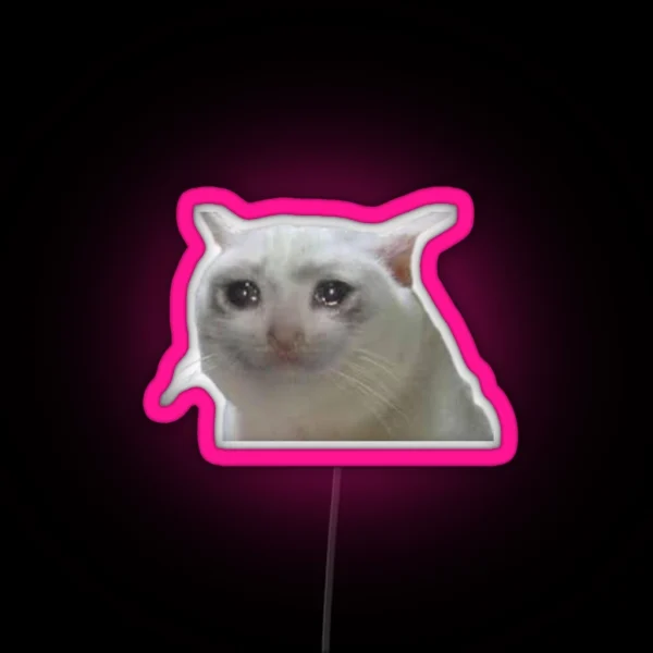 Crying Meme Cat Led RGB Neon Sign