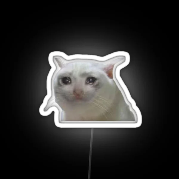 Crying Meme Cat Led RGB Neon Sign