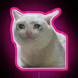 Crying Meme White Cat RGB Neon Sign