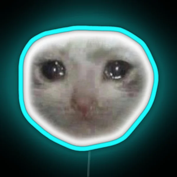 Crying Teary Eyed Sad Cat Meme RGB Neon Sign