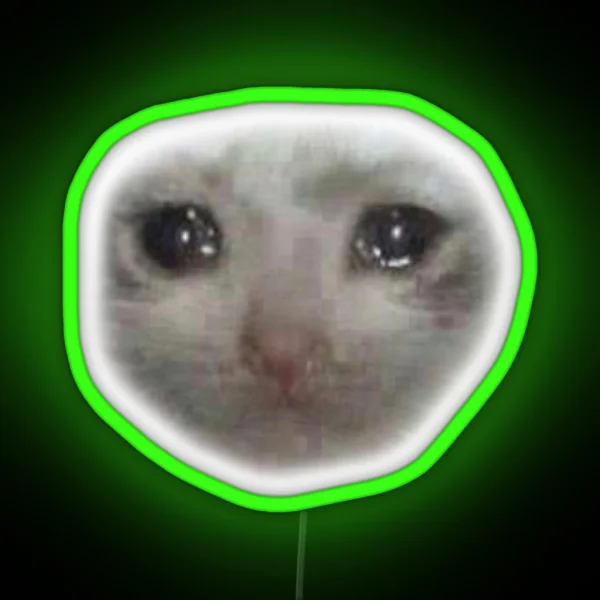 Crying Teary Eyed Sad Cat Meme RGB Neon Sign