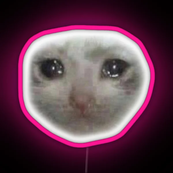 Crying Teary Eyed Sad Cat Meme RGB Neon Sign