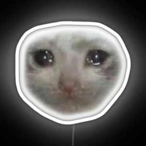 Crying Teary Eyed Sad Cat Meme RGB Neon Sign