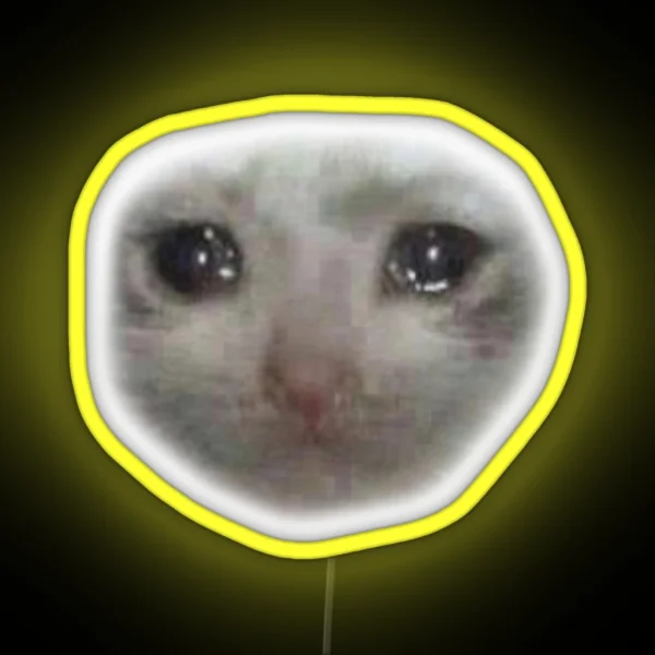 Crying Teary Eyed Sad Cat Meme RGB Neon Sign