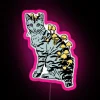 Cubensis Cat RGB Neon Sign - Image 6