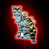 Cubensis Cat RGB Neon Sign - Image 2
