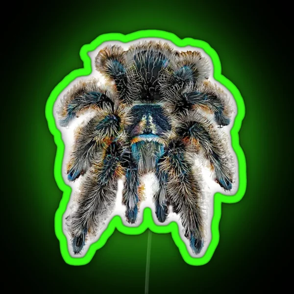 Curly Hair Wooly Tarantula Spider RGB Neon Sign