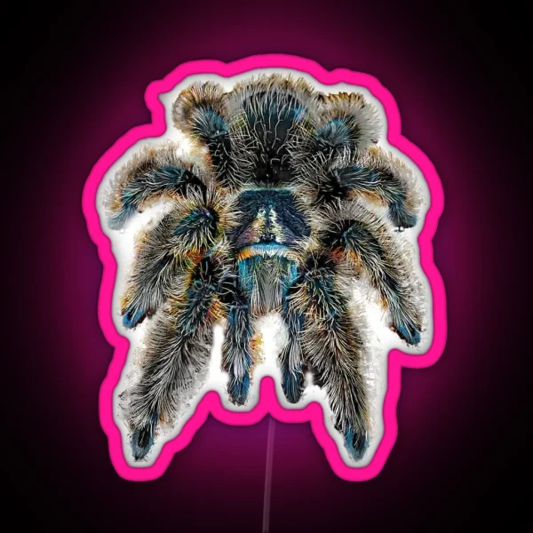 Curly Hair Wooly Tarantula Spider RGB Neon Sign