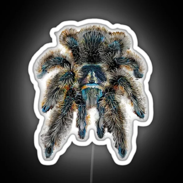 Curly Hair Wooly Tarantula Spider RGB Neon Sign