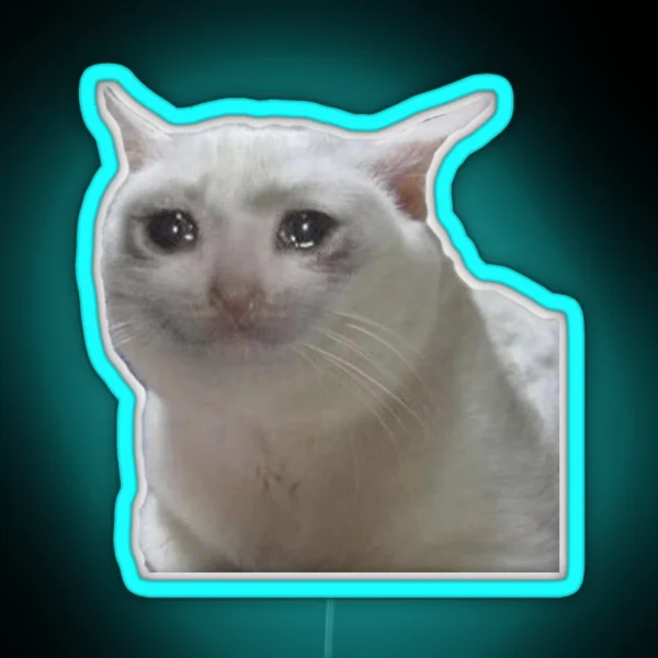 Cute Crying Cat Meme RGB Neon Sign