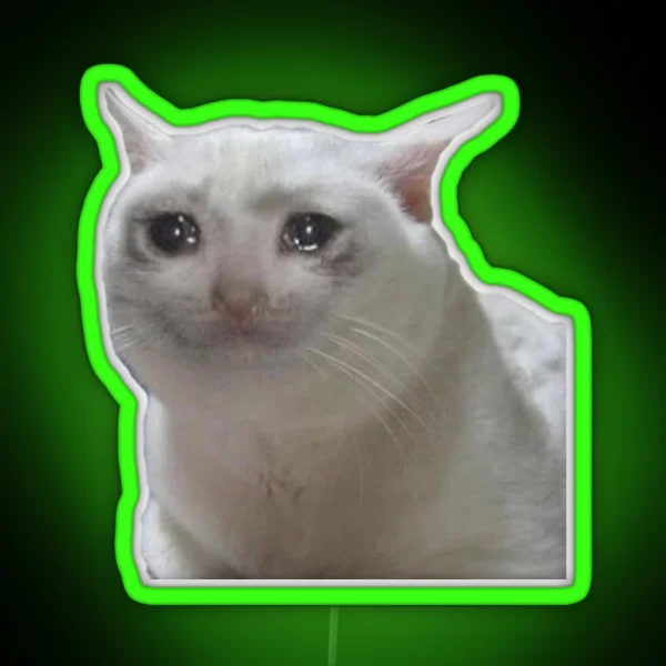 Cute Crying Cat Meme RGB Neon Sign