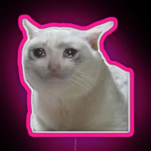 Cute Crying Cat Meme RGB Neon Sign