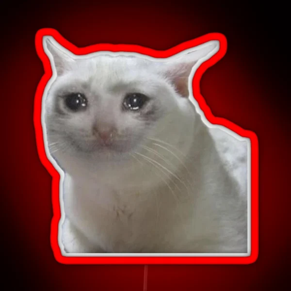 Cute Crying Cat Meme RGB Neon Sign