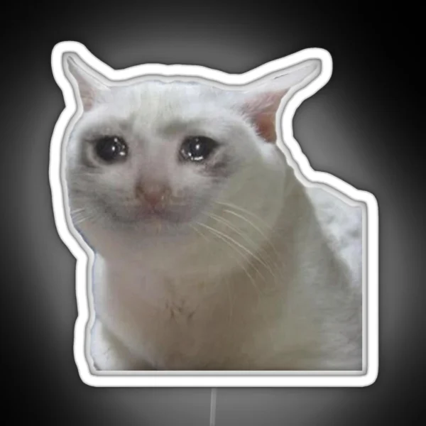 Cute Crying Cat Meme RGB Neon Sign