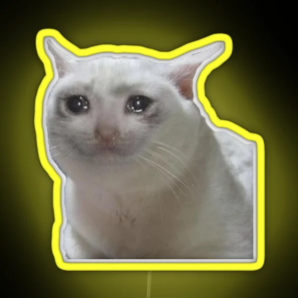 Cute Crying Cat Meme RGB Neon Sign