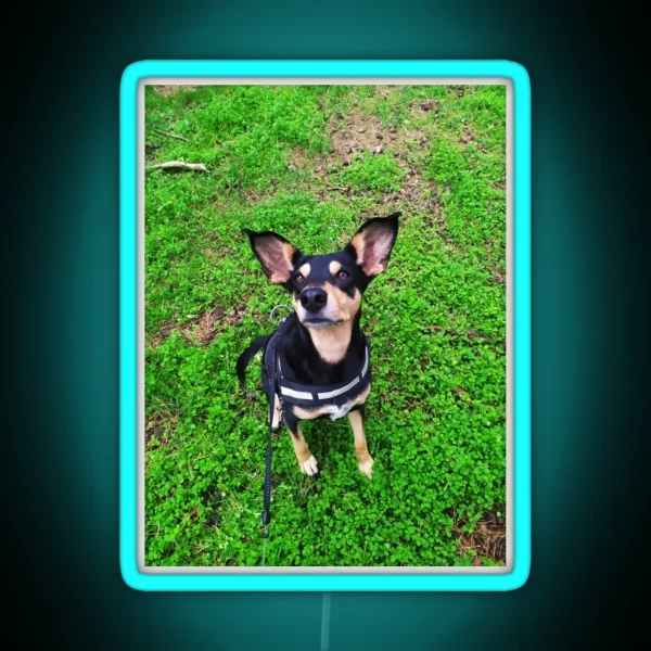 Cute Dog Big Ears RGB Neon Sign