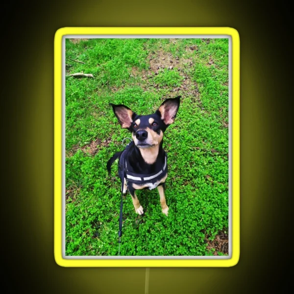 Cute Dog Big Ears RGB Neon Sign