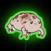 Cute Grumpy Desert Sand Frog RGB Neon Sign - Image 4