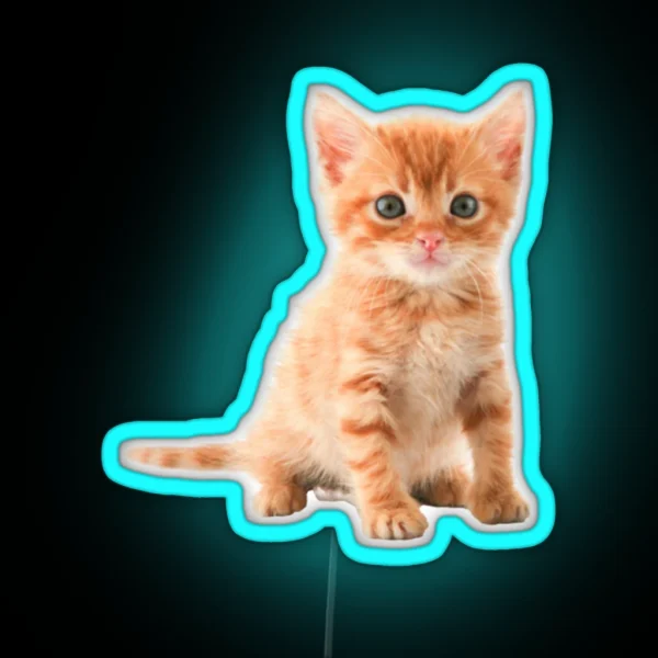 Cute Kitten RGB Neon Sign