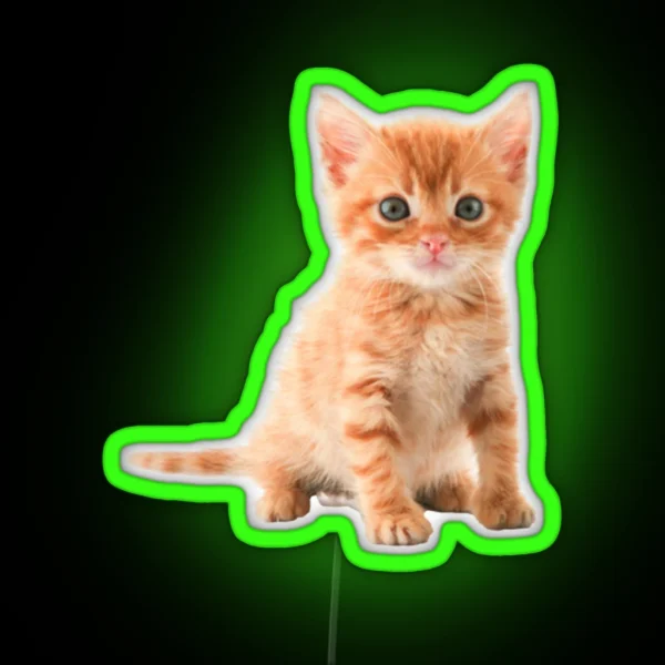 Cute Kitten RGB Neon Sign