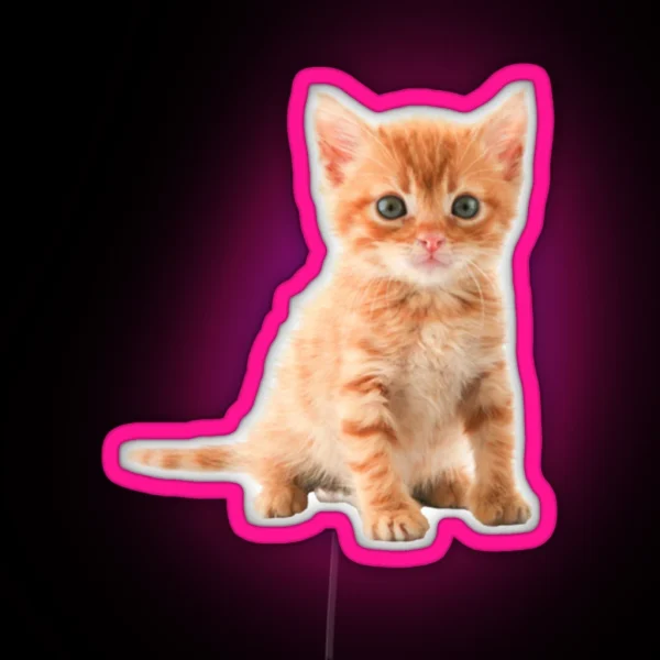 Cute Kitten RGB Neon Sign