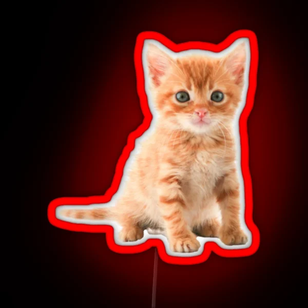 Cute Kitten RGB Neon Sign