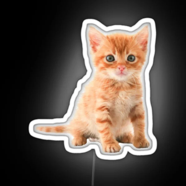 Cute Kitten RGB Neon Sign