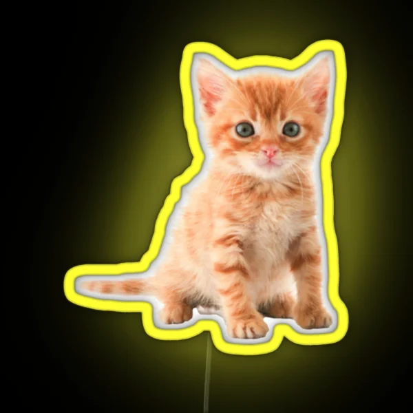 Cute Kitten RGB Neon Sign