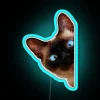 Cute Peeking Cat RGB Neon Sign - Image 3