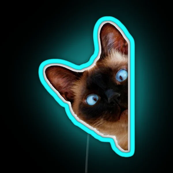 Cute Peeking Cat RGB Neon Sign