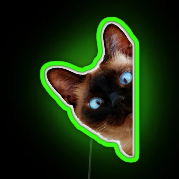 Cute Peeking Cat RGB Neon Sign