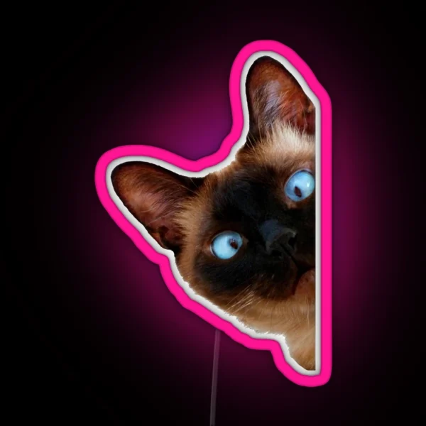 Cute Peeking Cat RGB Neon Sign
