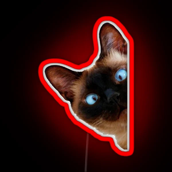 Cute Peeking Cat RGB Neon Sign